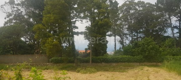  Land in Colares, Portugal No. 79889 8