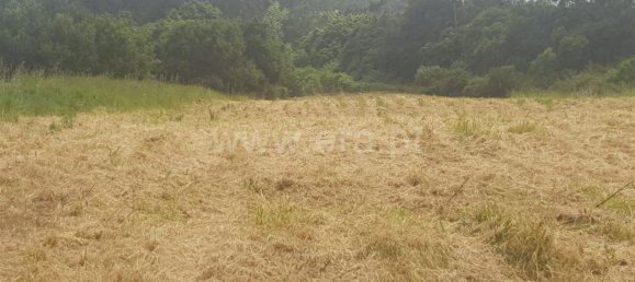  Land in Colares, Portugal No. 79889 6