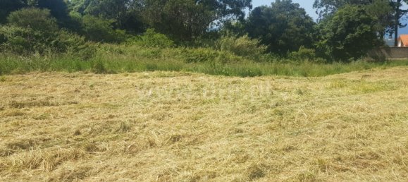  Land in Colares, Portugal No. 79889 7