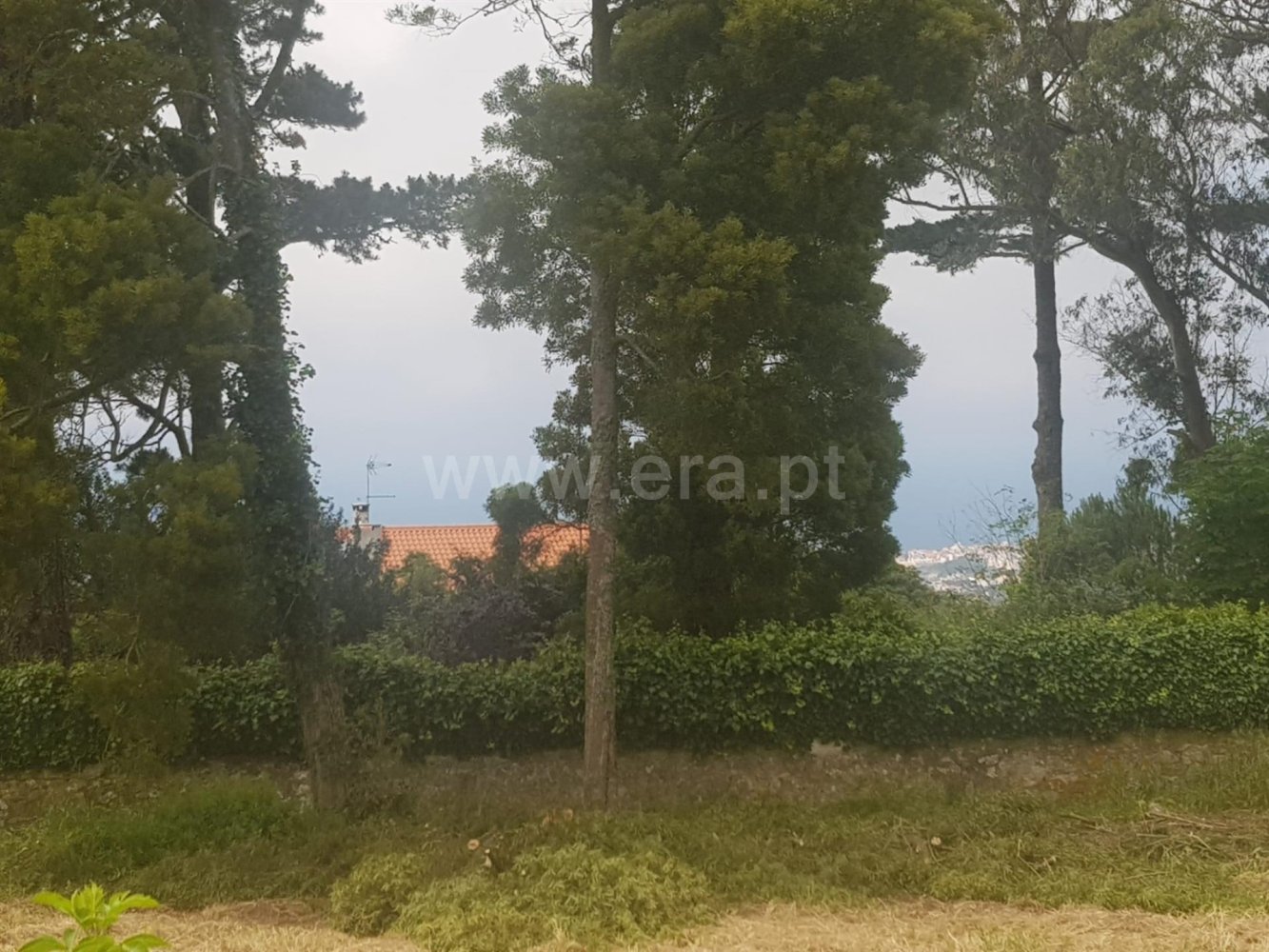  Land in Colares, Portugal No. 79889