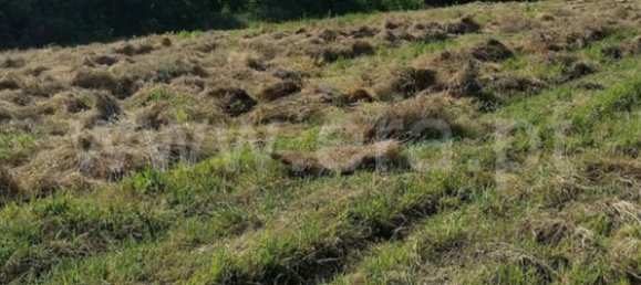  Land in Colares, Portugal No. 79889 4