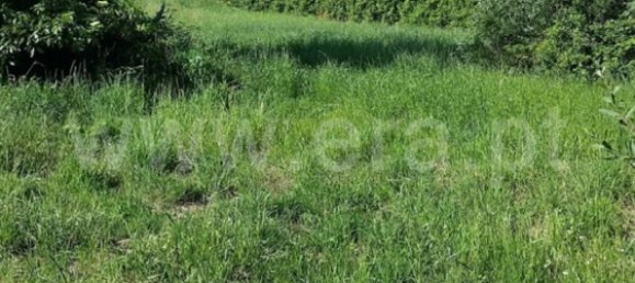  Land in Colares, Portugal No. 79889 5