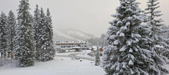 Studio in Wald im Pinzgau, Austria, Nr. 180591 2