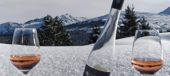 Studio in Wald im Pinzgau, Austria, Nr. 180591 12