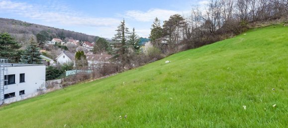 3450m² Land in Giesshubl, Austria No. 212499 3