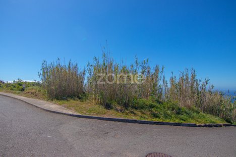 1460m² Land in Funchal, Portugal No. 90000