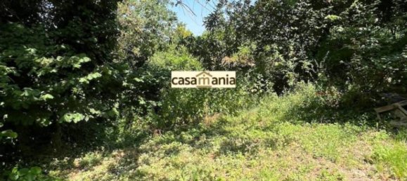 2 bedrooms Apartment in Pergola, Italy No. 303307 15