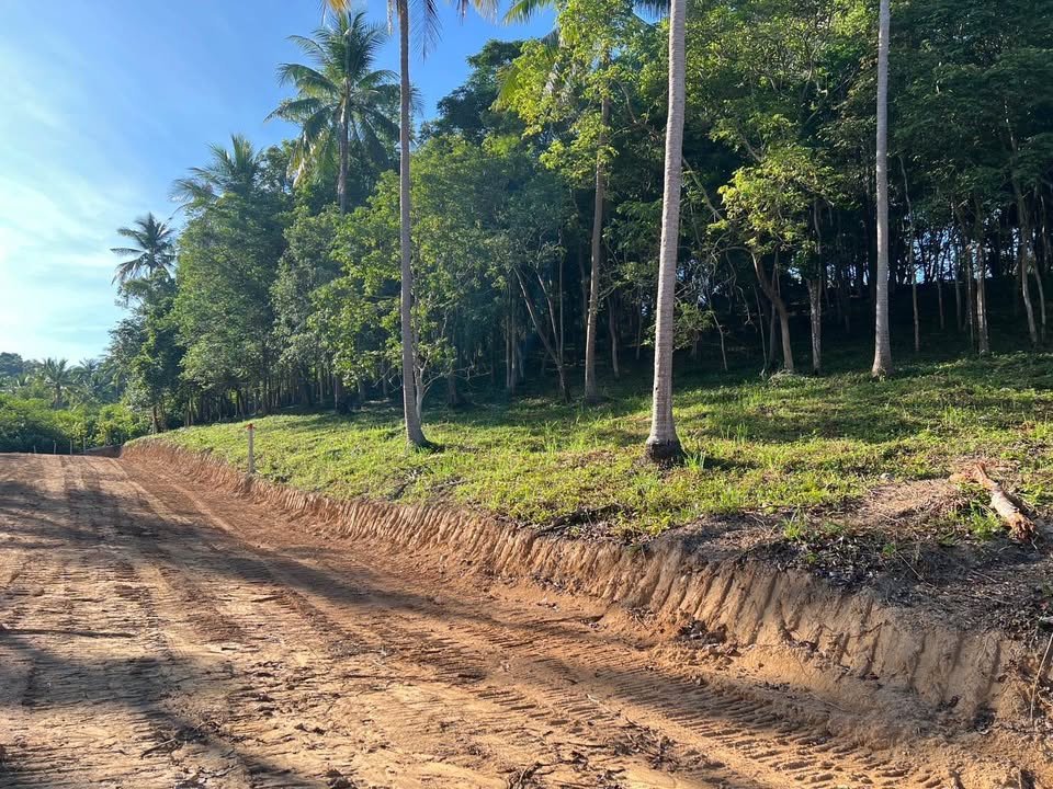  Land in Ko Samui, Thailand No. 59545