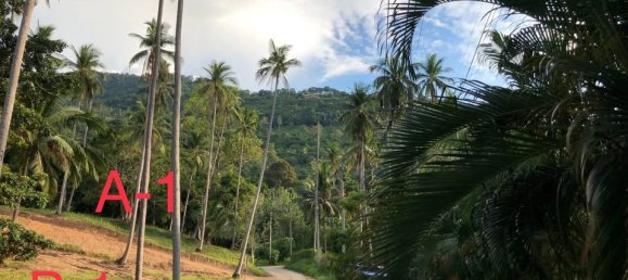  Land in Ko Samui, Thailand No. 59545 5