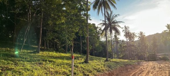  Land in Ko Samui, Thailand No. 59545 4