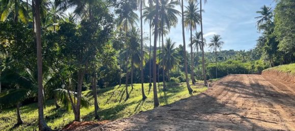  Land in Ko Samui, Thailand No. 59545 3