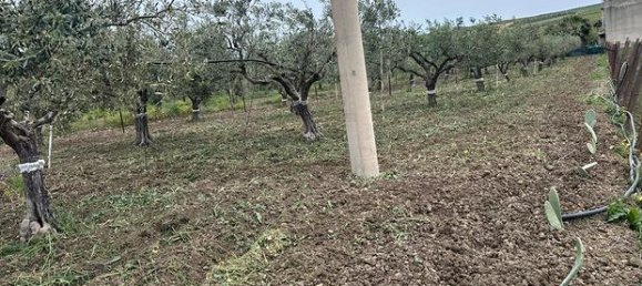 Villa de 7 habitaciónes en Menfi, Italy No. 288920 5