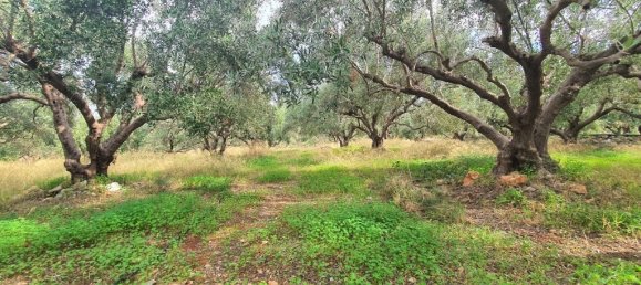 قطعة أرض في Neapoli, Greece 2400متر مربع رقم 95277 2