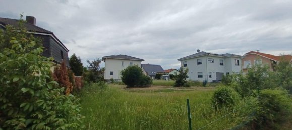 Grundstück in Gänserndorf, Austria, Nr. 132092 2