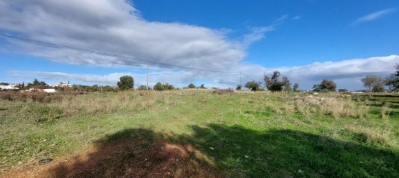 Grundstück in Loule, Portugal 4963m², Nr. 58790 11