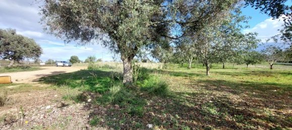 Grundstück in Loule, Portugal 4963m², Nr. 58790 14