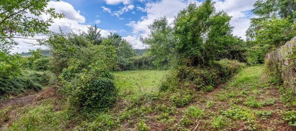 9 bedrooms House in Guimaraes, Portugal No. 62509 12