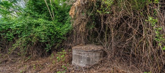 9 bedrooms House in Guimaraes, Portugal No. 62509 9