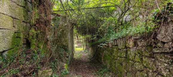 9 bedrooms House in Guimaraes, Portugal No. 62509 46