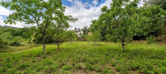 9 bedrooms House in Guimaraes, Portugal No. 62509 2