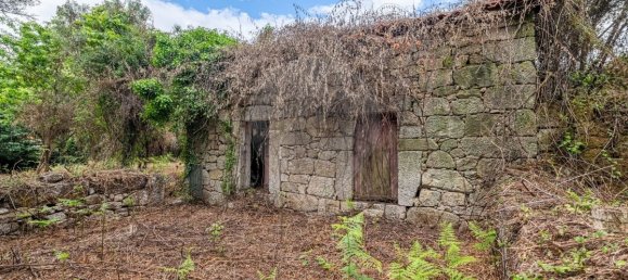 9 bedrooms House in Guimaraes, Portugal No. 62509 45