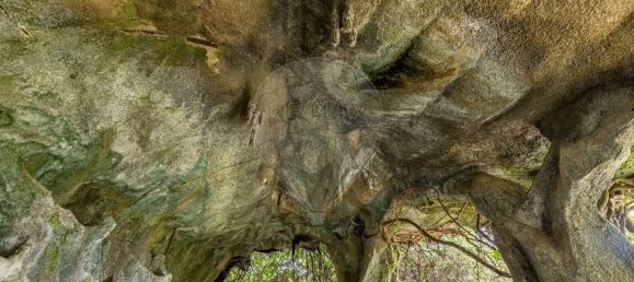 9 bedrooms House in Guimaraes, Portugal No. 62509 44