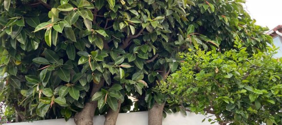 2 غرف نوم شقة في Estepona, Spain رقم 184057 10