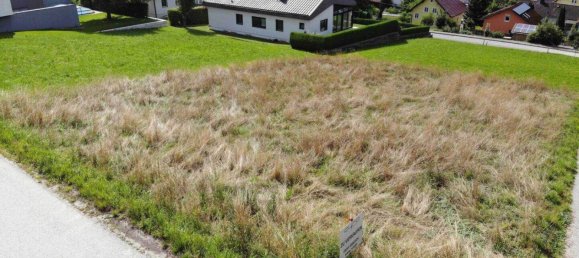 914m² Land in Neumarkt im Hausruckkreis, Austria No. 162863 6