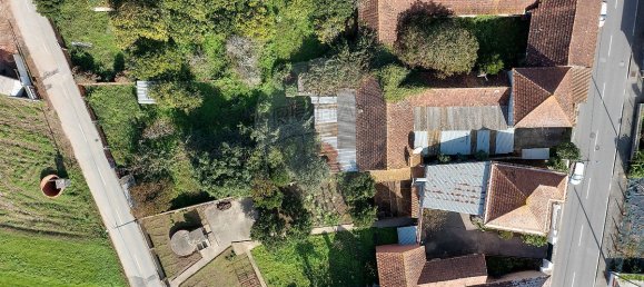 5 غرف نوم منزل في Sangalhos, Portugal رقم 158754 27