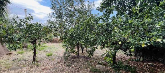 Villa de 9 habitaciónes en Campofelice di Roccella, Italy No. 175844 46