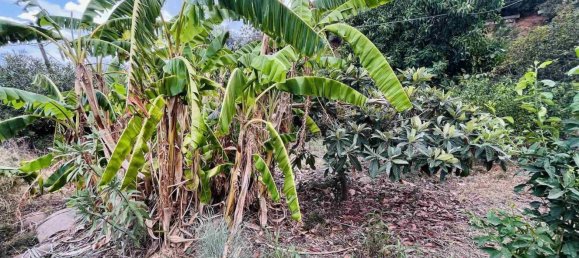 Villa de 9 habitaciónes en Campofelice di Roccella, Italy No. 175844 47