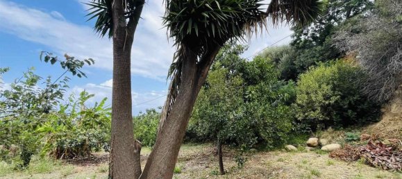 Villa de 9 habitaciónes en Campofelice di Roccella, Italy No. 175844 43