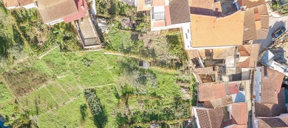 4 bedrooms House in Penacova, Portugal No. 27883 15