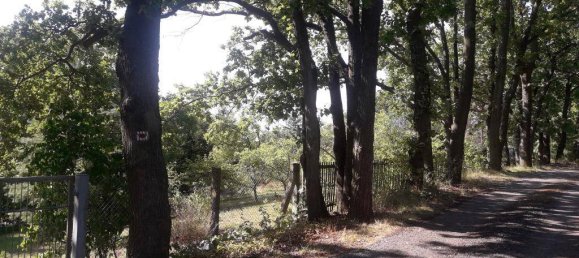 Grundstück in Sachsen, Germany, Nr. 165399 5