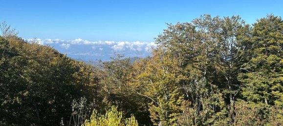 5-Zimmer Villa in Santo Stefano in Aspromonte, Italy, Nr. 83480 13