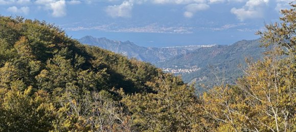 5-Zimmer Villa in Santo Stefano in Aspromonte, Italy, Nr. 83480 19