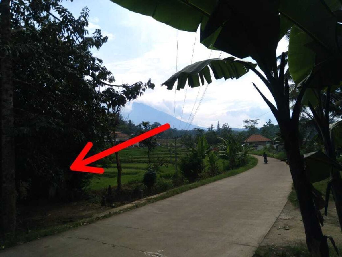 Земельный участок в Серанг, Индонезия № 1512