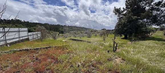 6 Schlafzimmer Haus in Viseu, Portugal, Nr. 208908 41