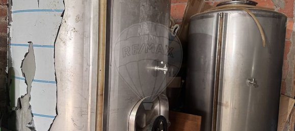 6 Schlafzimmer Haus in Viseu, Portugal, Nr. 208908 46