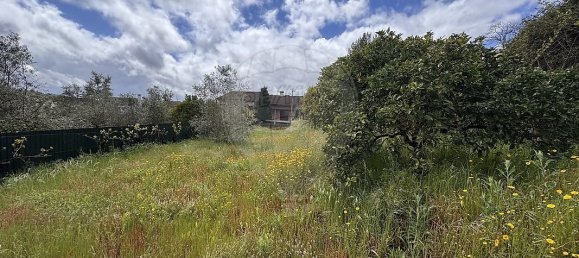 6 Schlafzimmer Haus in Viseu, Portugal, Nr. 208908 40