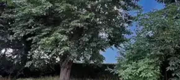 Moradia em banda de 7 divisões em Soest, Germany N.º 336017 4