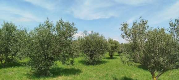 5847m² Land in Cazouls-les-Beziers, France No. 289005 5