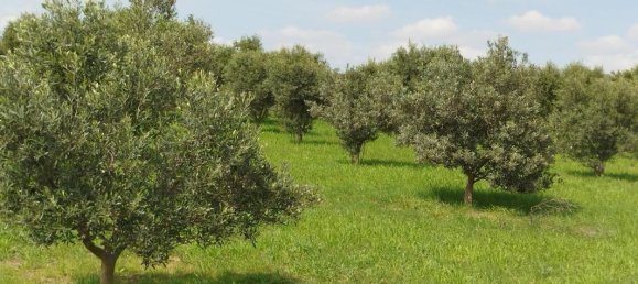 5847m² Land in Cazouls-les-Beziers, France No. 289005 2