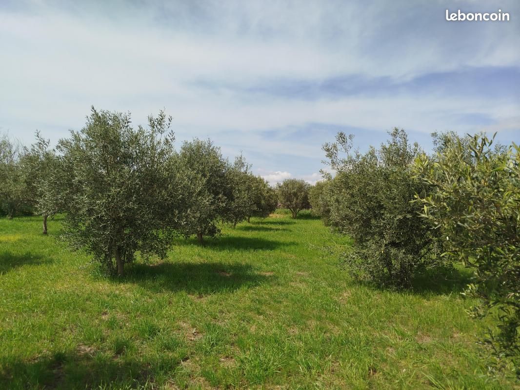 5847m² Land in Cazouls-les-Beziers, France No. 289005