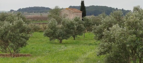 5847m² Land in Cazouls-les-Beziers, France No. 289005 3