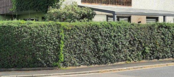 Casa T3 em Schweinfurt, Germany N.º 336427 2