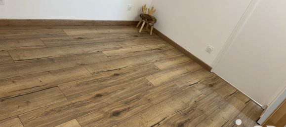 4 غرف نوم منزل في Chouze-sur-Loire, France رقم 246807 60