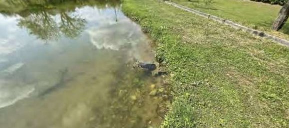 7-Zimmer Haus in Giavera del Montello, Italy, Nr. 283411 24