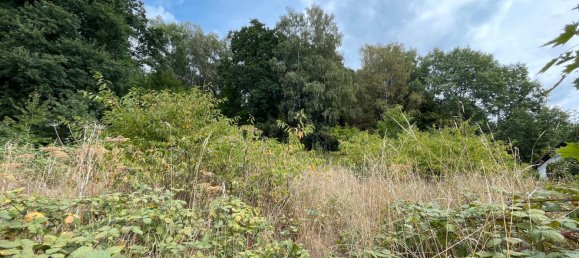 Terreno em Werra-Meisner, Germany N.º 174156 5