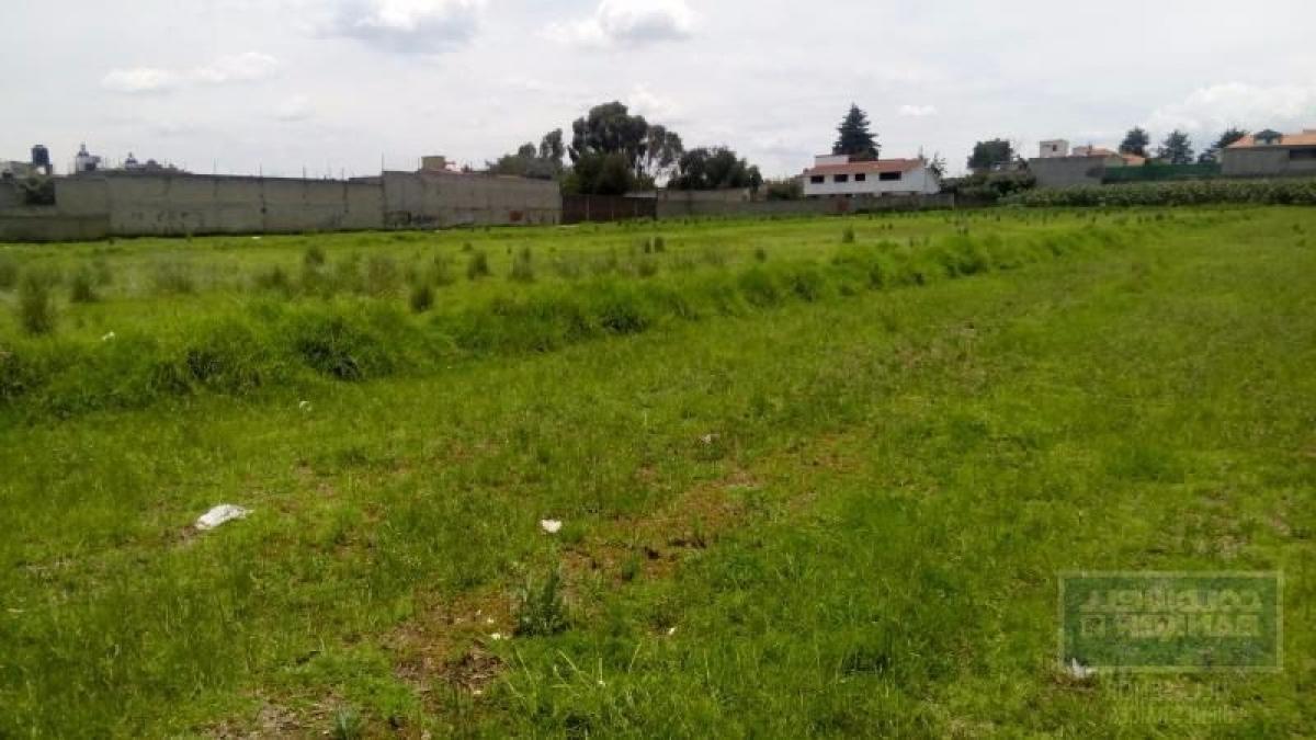  Land in San Buenaventura, Mexico No. 206534